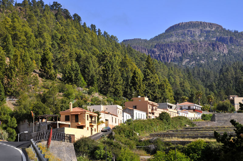 Village of Vilaflor among a forest of pines in the mountain at tenerife in the Spanish Canary Islands.