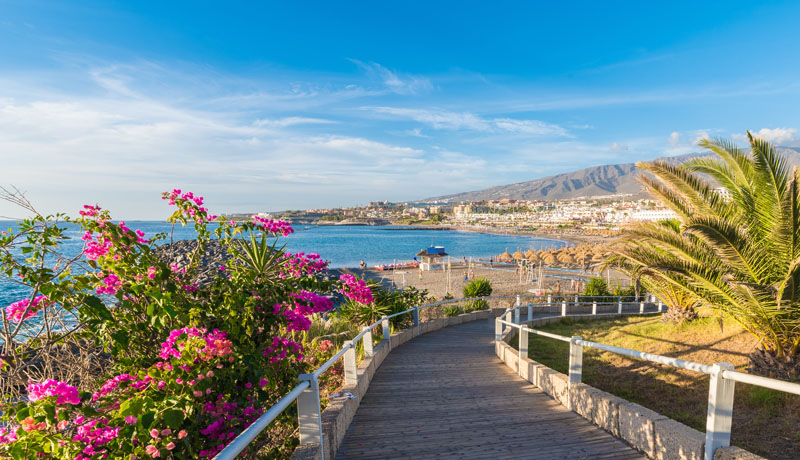 Landscape with Fanabe beach at Adeje Coast, Tenerife, Canary Islands, Spain