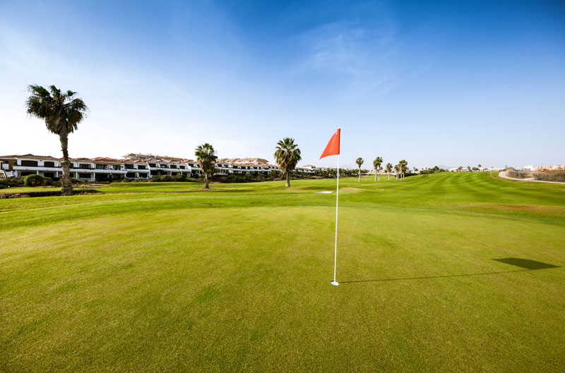 Green golf field with red flag in sunlight