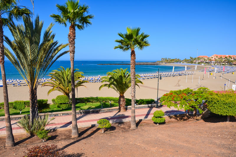 Palm trees on promenade along beach in Los Cristianos, Tenerife island, Spain