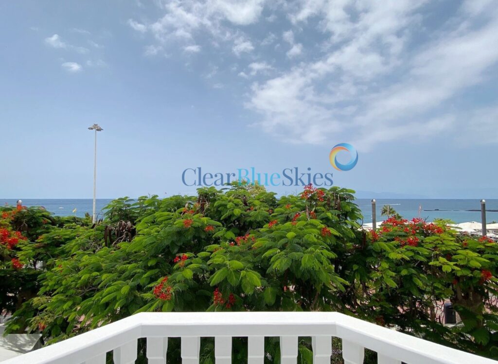 Beautifully Renovated Sea Front Villa in Playa Fañabé