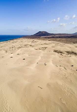 beach-fuerteventura-clear-blue-skies
